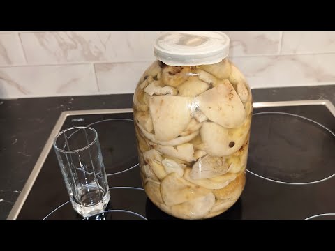 Видео: Простой рецепт засолки груздей горячим способом#грузди#засолкагрибов#простовкусно#Picklingmushrooms