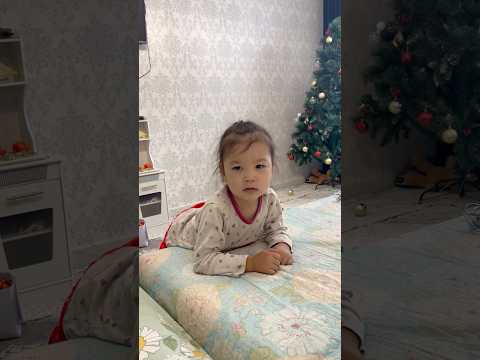 Видео: 24 октября 2025 г.