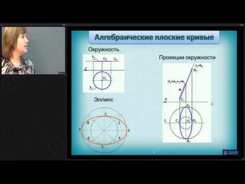 Видео: Лекция 7. Кривые линии