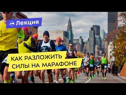 Видео: Как разложить силы на марафоне