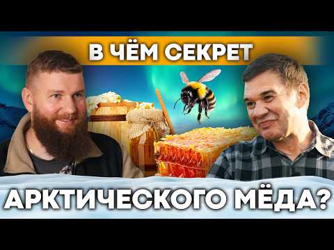 Видео: Арктическое пчеловодство: как заработать на мёде за Полярным кругом? Пасека в Мурманске