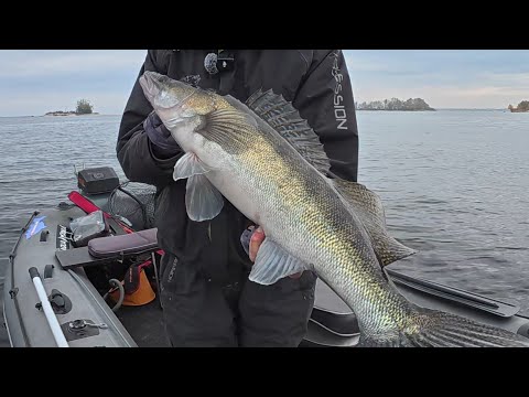 Видео: КРУПНЯК біля КОРЧА зібрався, Рибалка біля дому