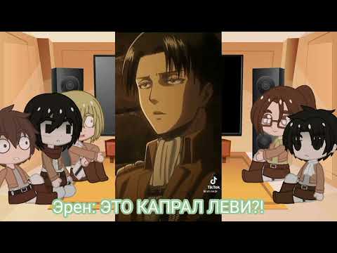 Видео: реакция АТ на тик ток