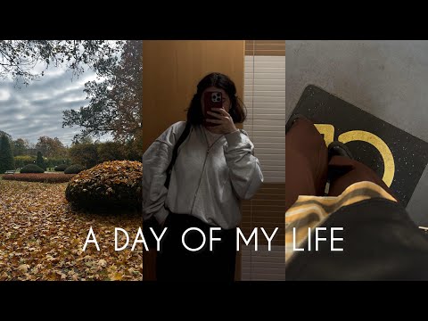 Видео: realistic vlog 01:стараюсь вернуть на ютуб,моё поступление ,живу в Лодзи и обычный день 