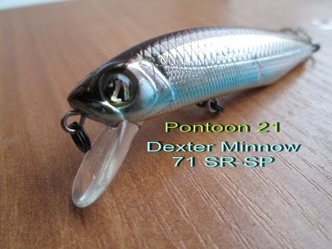 Видео: Pontoon 21 Dexter Minnow 71 SR - SP. ИСПЫТАНИЯ !