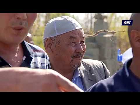 Видео: Дау-дамайсыз: Қалтаңда қомақты қаржы болмаса көмусіз қаласың! / 28.10.18 күнгі эфир