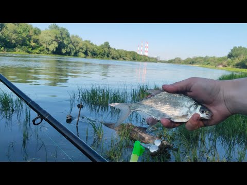 Видео: ОТКРЫТИЕ РЫБОЛОВНОГО СЕЗОНА 2025!!! РЫБАЛКА на ХОЛОДНОМ КАНАЛЕ 2025!!! ЛОВЛЯ ПОДЛЕЩИКА И ПЛОТВЫ!!!