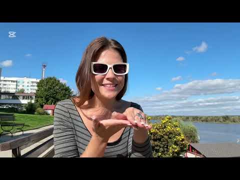 Видео: ВСЕ СФЕРЫ ЖИЗНИ ПО НУЛЯМ. С ЧЕГО НАЧАТЬ?