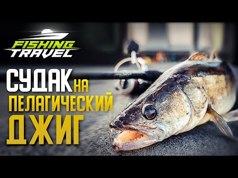 Видео: Судак на 6.8" / Иваньковское водохранилище / FISHING TRAVEL