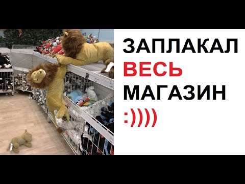 Видео: Лютые приколы. Король лев в магазине. Плакали все :))