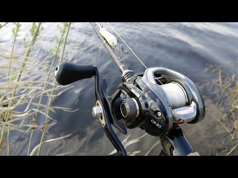 Видео: ДВА ДНЯ НА МАЛОЙ РЕКЕ! Ловля щуки на спиннинг с берега, рыбалка на кастинговый комплект