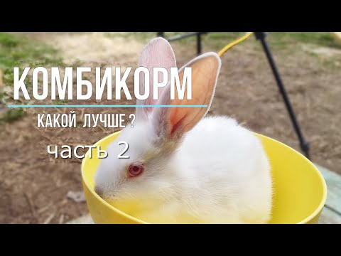 Видео: Тестирование комбикормов для кроликов часть 2