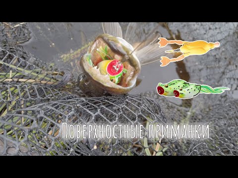Видео: Ловля на поверхностные приманки. Лягушку и утёнка атакуют щуки.