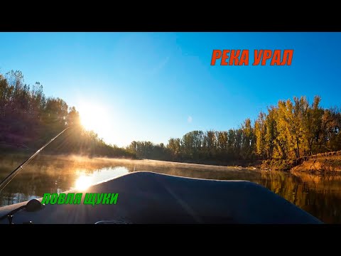 Видео: Щука на спиннинг. Река Урал