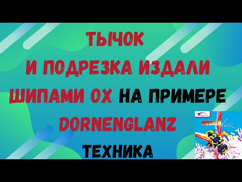 Видео: ШИПОВИКИ наступают!Гладкошерстный БЕРЕГИСЬ! ТЫЧОК и ПОДРЕЗКА ИЗДАЛИ шипами OX на примере dornenglanz