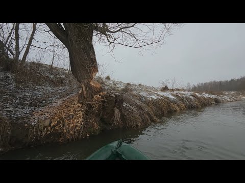 Видео: Сплав в декабре Хмара➡Сож 17км. Удачный😁