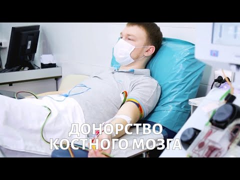 Видео: Как можно стать ДОНОРОМ костного мозга