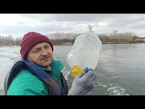 Видео: 22. Поехали в Семей за налимом