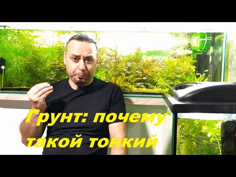 Видео: Что происходит в грунте