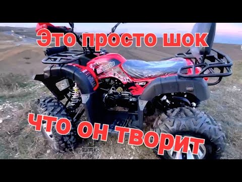 Видео: Квадроцикл FXmoto Bull 200