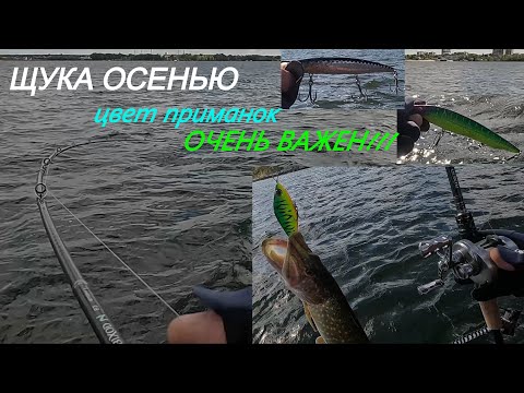 Видео: Осенняя щука. Цвет приманок ОЧЕНЬ ВАЖЕН!!!