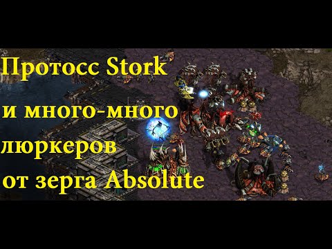 Видео: Старкрафт - PvZ - Протосс Stork при атаках на зерга теряет почти всю армию, и тут еще беда - люркеры