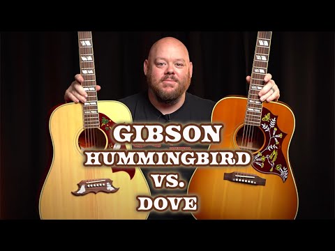Видео: Сравнение акустических гитар Gibson | Hummingbird против Dove