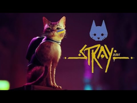 Видео: Stray. Ганяю Кусіка! — Stream. 🎮