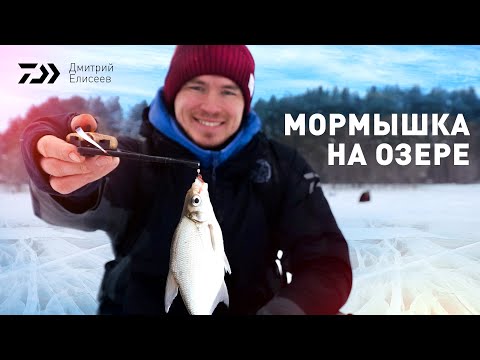 Видео: МОРМЫШКА НА ОЗЕРЕ x ДМИТРИЙ ЕЛИСЕЕВ