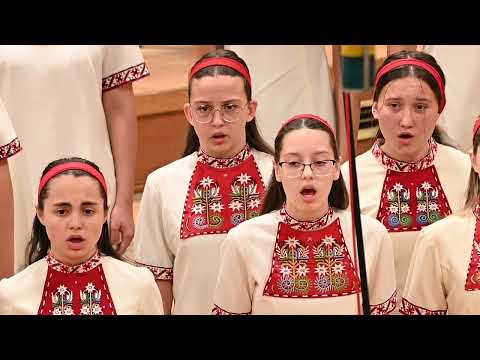 Видео: "Северно сияние" /  "Northern Lights"