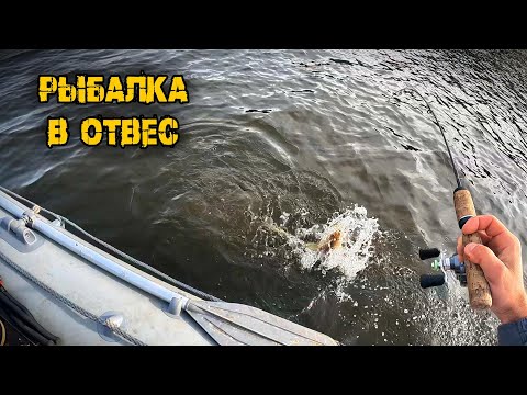 Видео: Осенняя рыбалка в отвес, судак дубасит вибы, р.Кама