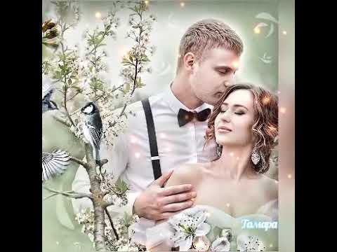 Видео: Алексей Прага.Тепло любви🌹💕