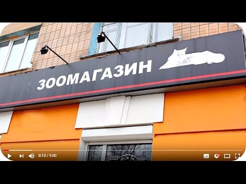 Видео: Иду в ЗООМАГАЗИН. Покупки нашим животным.