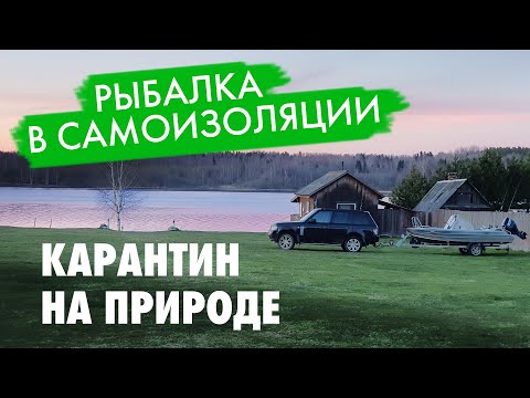 Видео: Самоизоляция на природе. Рыбалка в Тверской области.