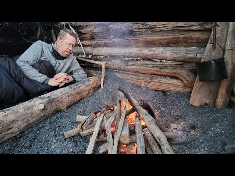 Видео: Кемпинг Bushcraft Shelter под северным сиянием (лучшая еда у костра в моей жизни!)
