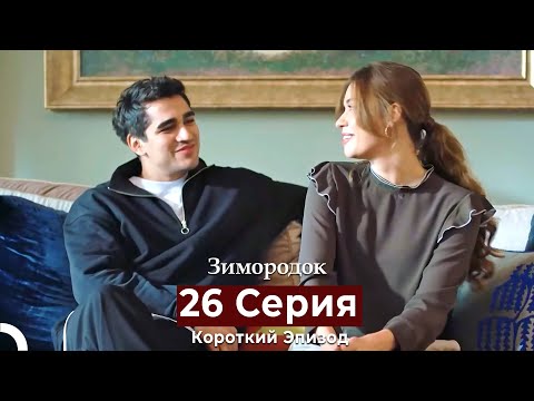 Видео: Зимородок 26 Cерия (Короткий Эпизод) (Русский дубляж)