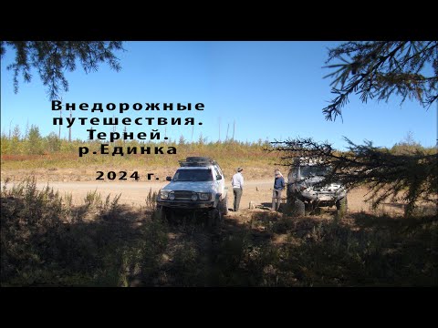 Видео: Терней Единка 2024