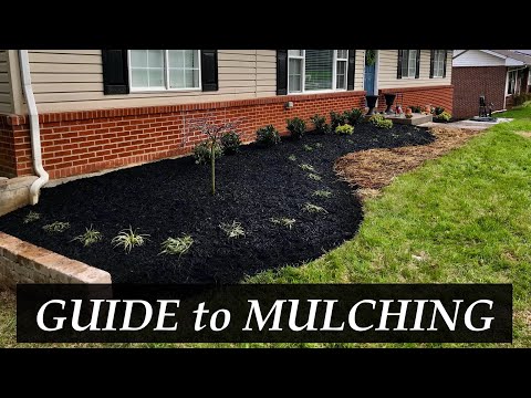 Видео: Как мульчировать ландшафт | Полное руководство