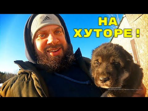 Видео: СУПЕР НОВОСТИ С ХУТОРА))