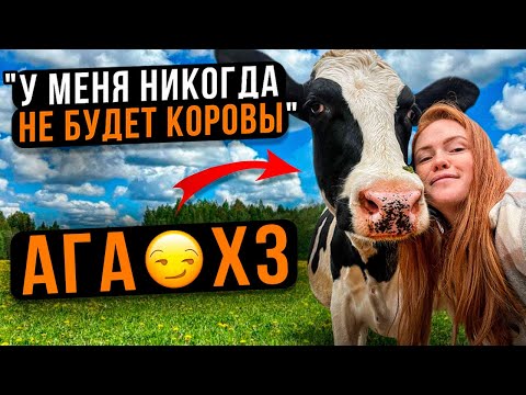 Видео: "У МЕНЯ НИКОГДА НЕ БУДЕТ КОРОВЫ" | Первый опыт содержания коров