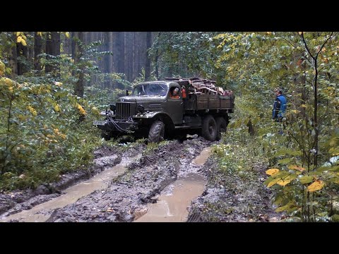 Видео: Груженый дровами ЗиЛ-157 прет по бездорожью  Не машина а мечта!