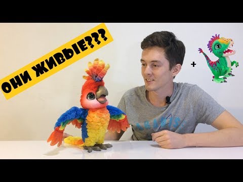 Видео: Обзор игрушек Поющий Кеша и Малыш Дино Furreal Friends Hasbro Rock a too, the Show Bird and Munchin