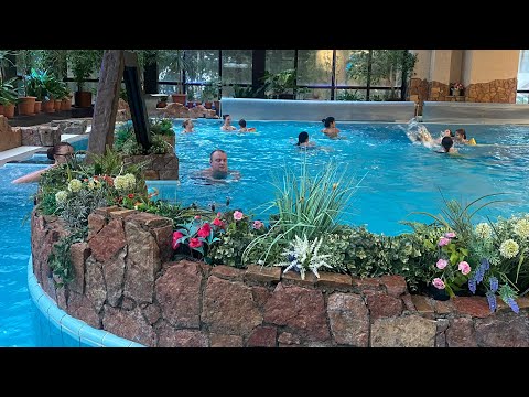 Видео: Тапиола 🎄 Tapiola 🎄