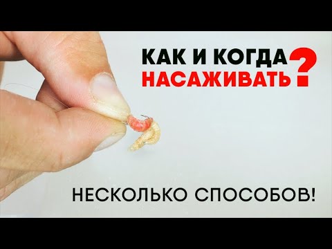 Видео: КАК НАСАДИТЬ ОПАРЫША? Несколько способов + советы, чтобы не срывало и не обсасывало насадку!