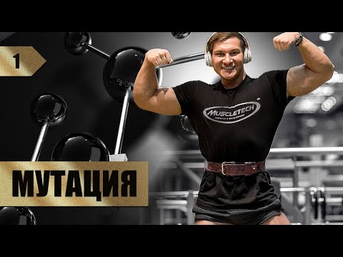 Видео: Начинаем сушку! Андрей Гюлназарян.