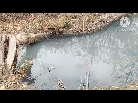 Видео: Борьба за нашу речку Садки продолжается 07.11.2025г. 