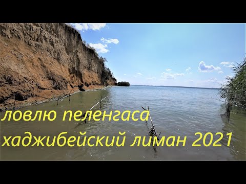 Видео: ПЕЛЕНГАС НА  ХАДЖИБЕЙСКОМ ЛИМАНЕ 2021