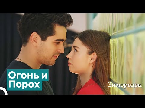 Видео: Если Я Поцелую Тебя В Этом Уединенном Месте | Зимородок