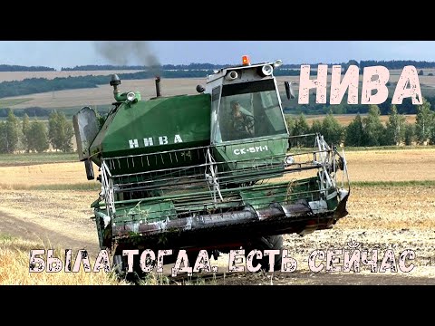 Видео: Комбайны Нива. Старые добрые помощники крестьян. Уборочная 2020