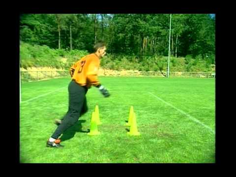 Видео: Тренировка вратарей  Германия  3 часть